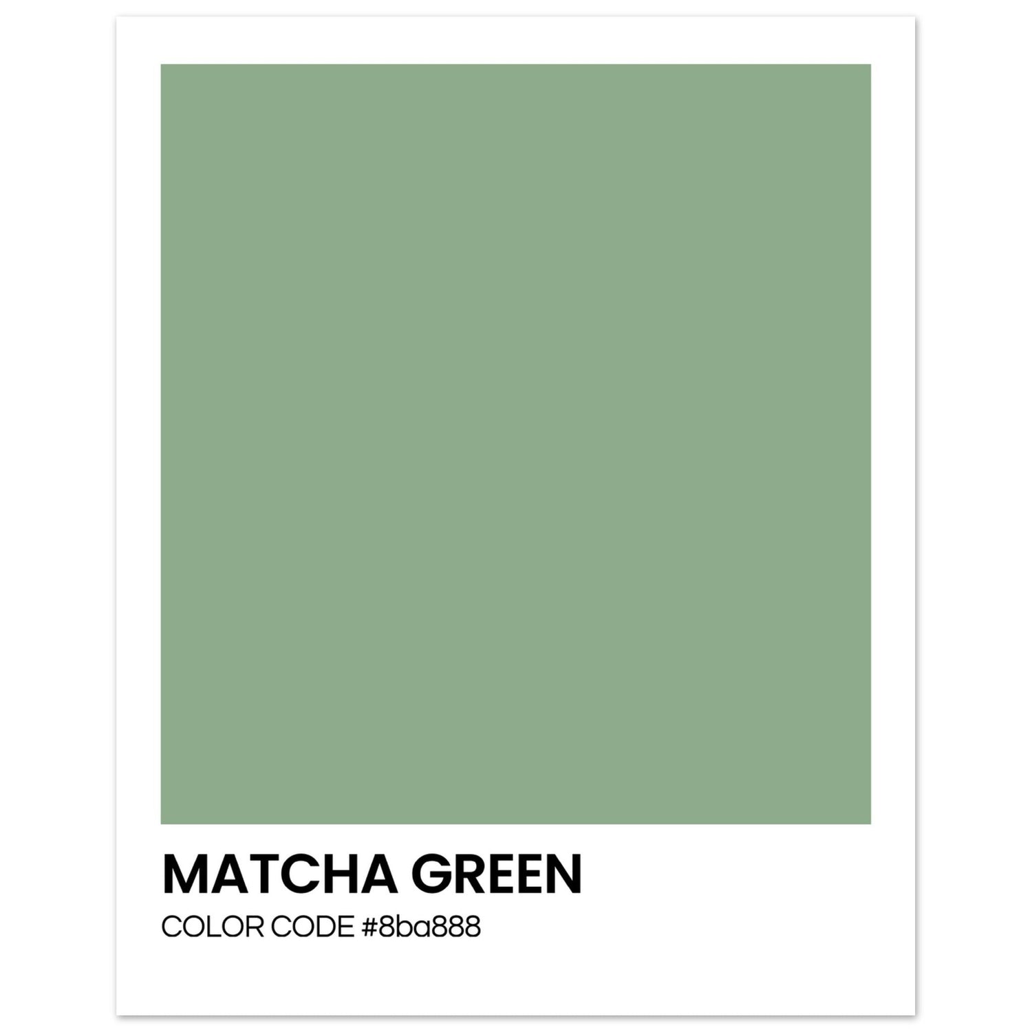 Color Codes - elevenprints